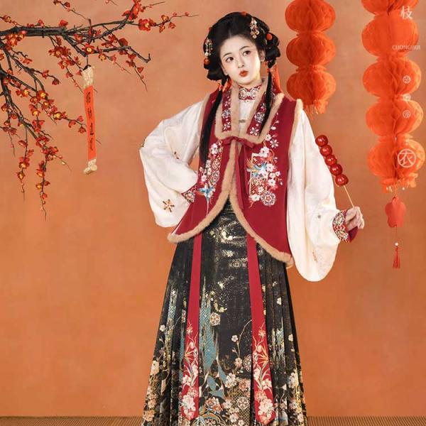 レディース漢服　【重回汉唐梅梢青羽】